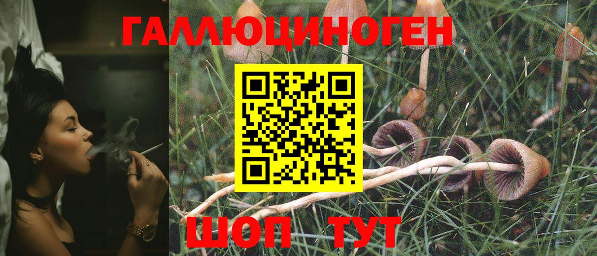 Псилоцибиновые грибы прущие грибы Семёнов